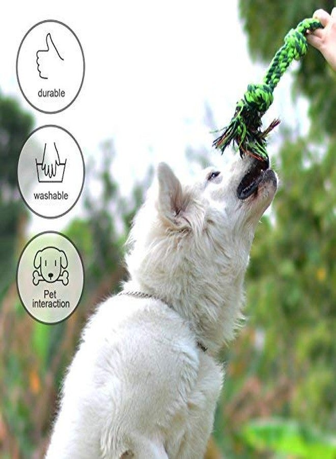 PETLICIOUS & MORE مجموعة ألعاب المضغ للكلاب الصغيرة والجراء من Petlicious & More® Royal Dogs (قد يختلف اللون، عبوة من 3 قطع) - Image 3